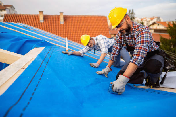 Best Residential Roofing Contractor  in Genoa City, WI