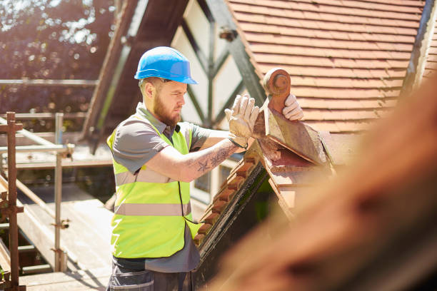 Best Roof Gutter Cleaning  in Genoa City, WI